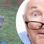 Det merkelige funnet i nærheten av treet gjorde naboen forundret: