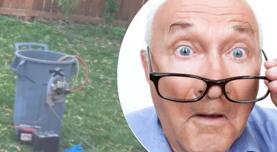 Det merkelige funnet i nærheten av treet gjorde naboen forundret: Hvilken hemmelighet skjulte hun?