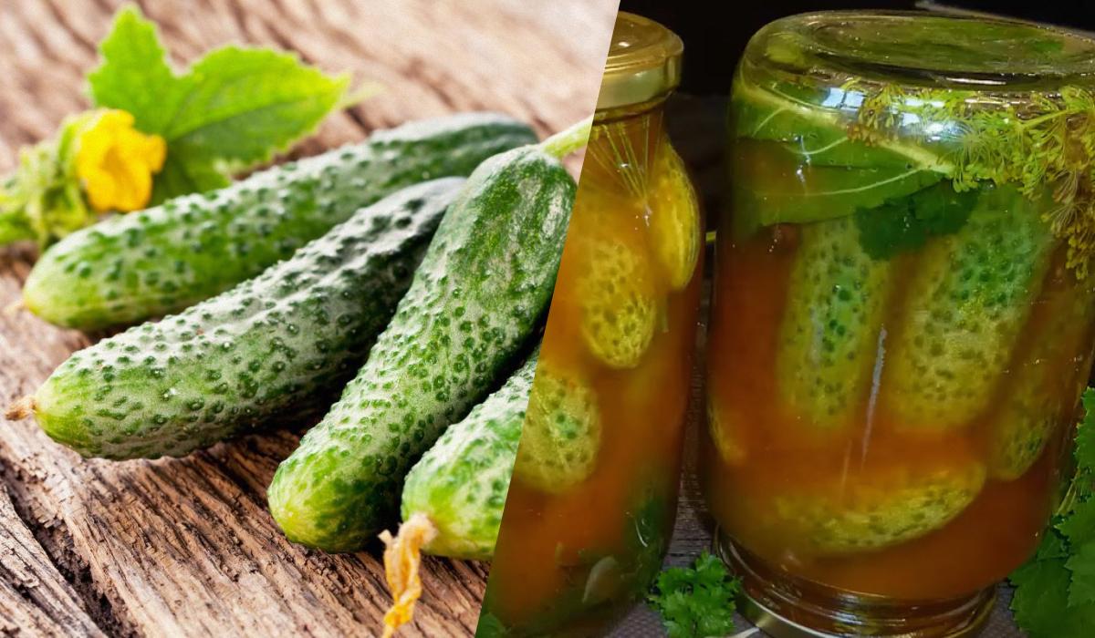 Hvordan lukke agurker i chili-ketchup for vinteren: 3 peerless oppskrifter