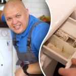 Hvordan rengjøre en vaskemaskin fra mugg og lukt: ekspertens penny-pinching