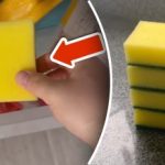 Hvorfor legge en svamp i fryseren: et enkelt triks vil