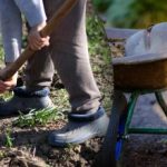 Såkalender for september 2025: hva du skal gjøre i hagen